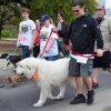 dog walk 2013-5096